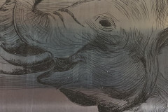 Photo de la plaque Eau-forte Eléphant 